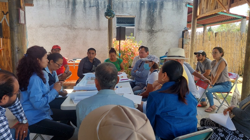 Imagen representativa de Asesoría a municipios - SACIFOR