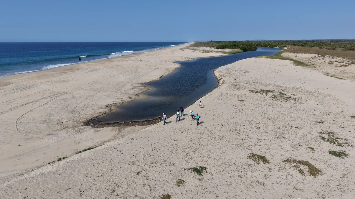 Vista aérea de paisaje natural capturada con drone - SACIFOR consultoría ambiental