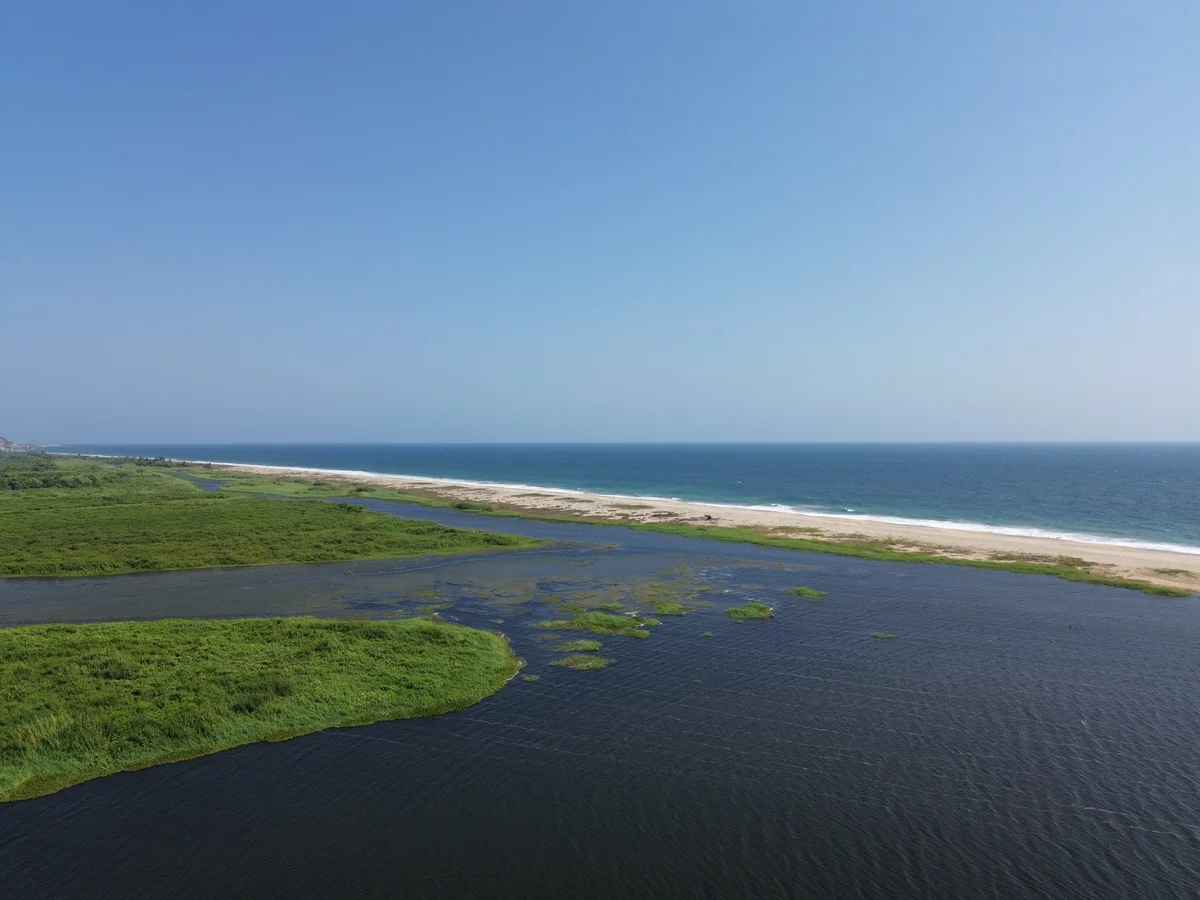 Vista aérea de paisaje natural capturada con drone - SACIFOR consultoría ambiental