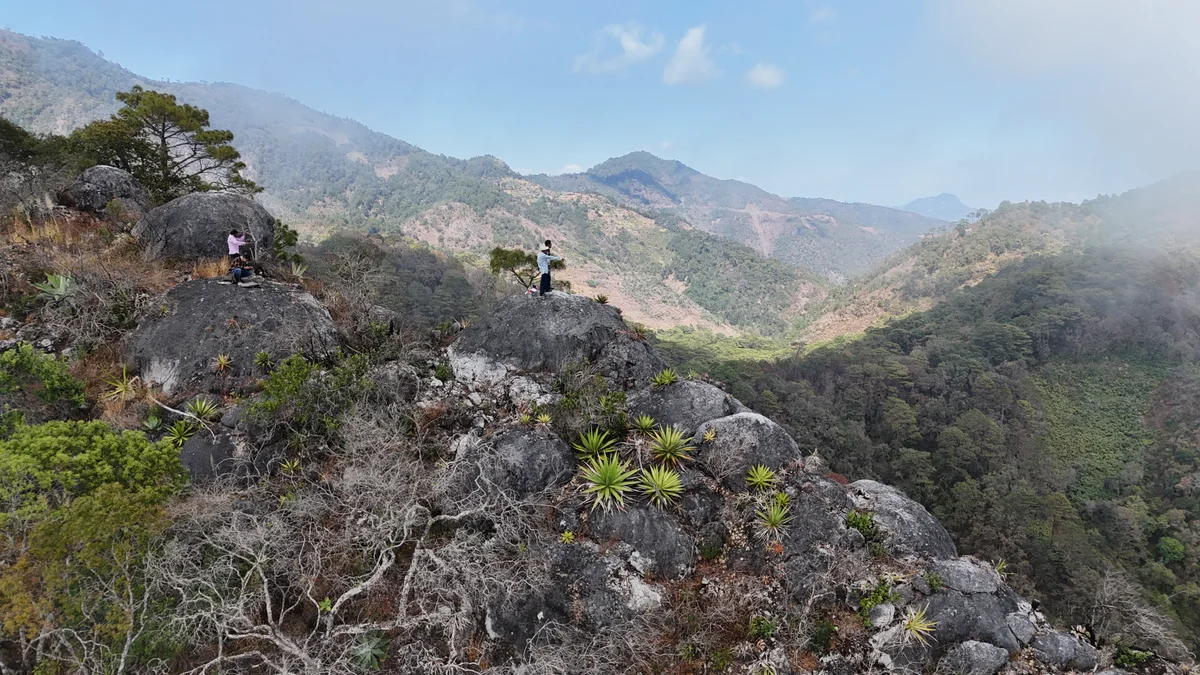 Vista aérea de paisaje natural capturada con drone - SACIFOR consultoría ambiental