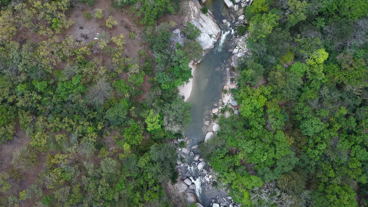Vista aérea de paisaje natural capturada con drone - SACIFOR consultoría ambiental