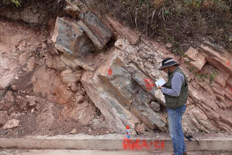 Imagen representativa de Otros estudios y proyectos - SACIFOR