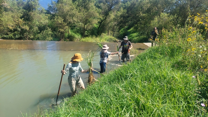 Imagen representativa de Estudios y proyectos ambientales - SACIFOR